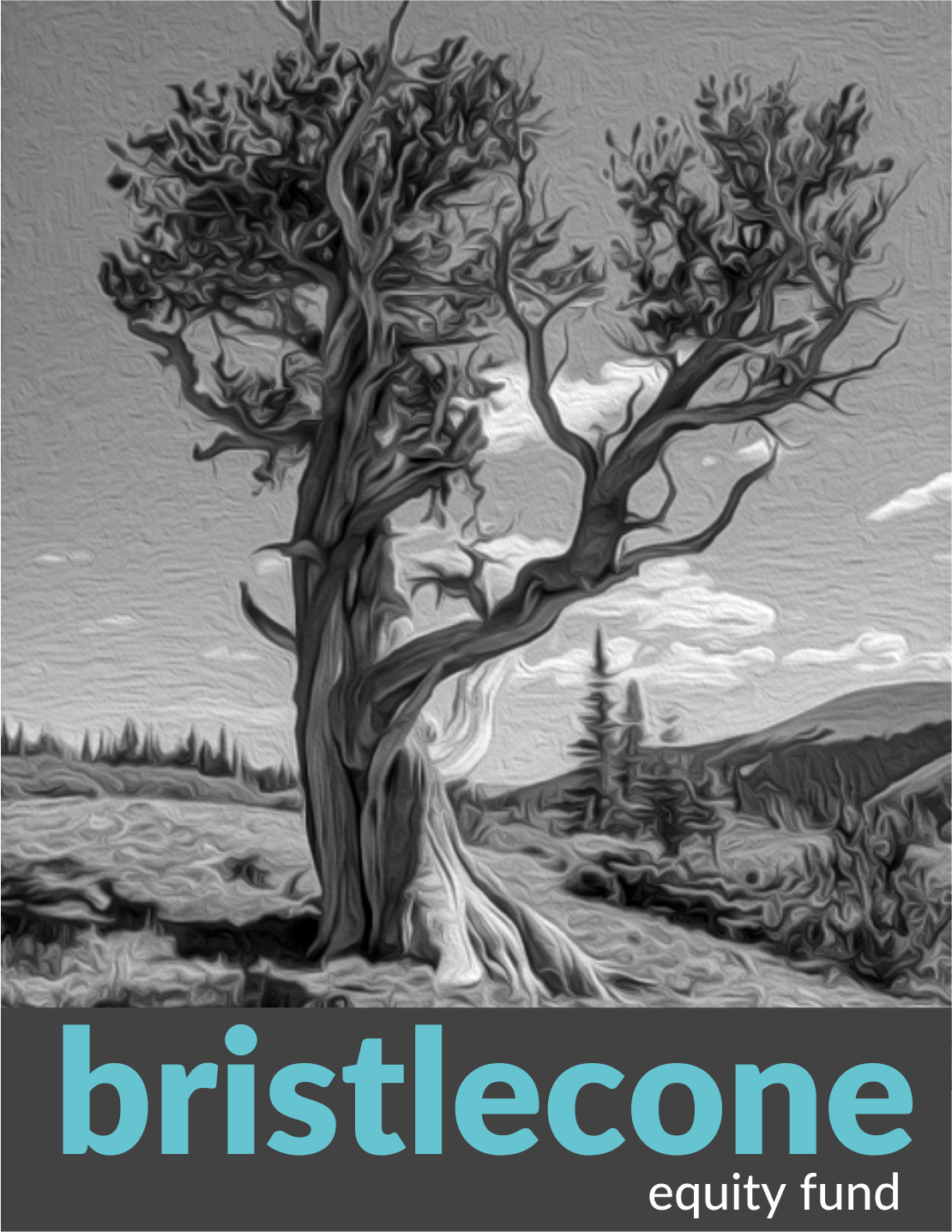 Bristlecone equity logo